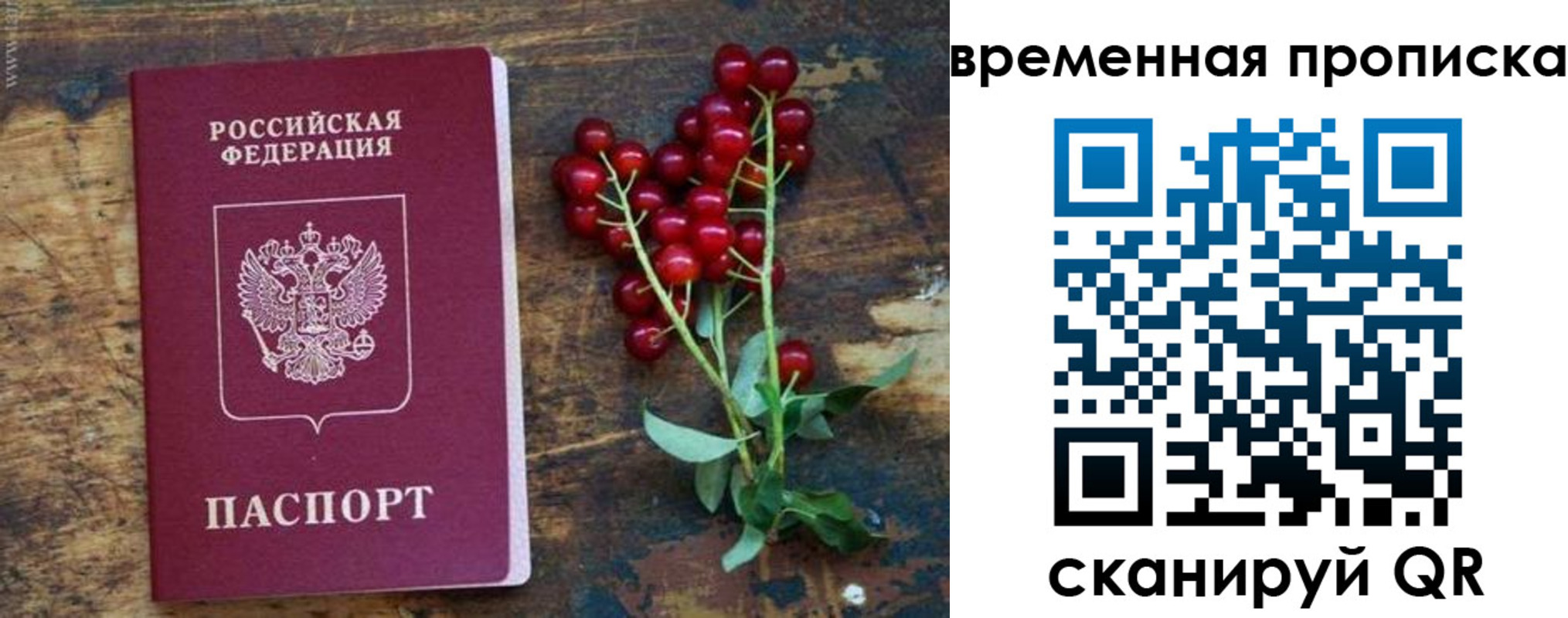 временная регистрация гарантия в Североморске